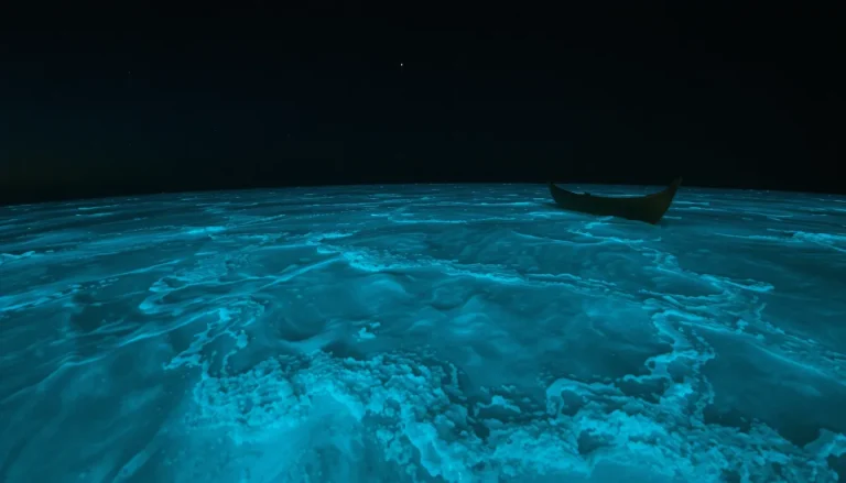 Mer étoilée Maldives : guide complet pour voir la mer d&rsquo;étoiles à Vaadhoo