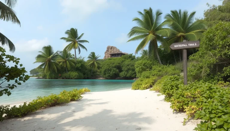 Playa Montezuma Costa Rica : guide complet et activités incontournables
