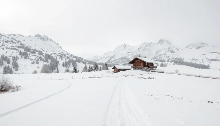 Les Vosges en hiver : que faire, ski, randonnées, gastronomie et marchés de Noël